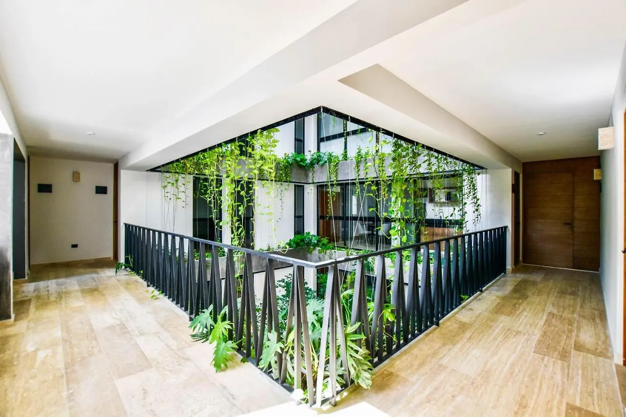 Downtown Studio Volta By Casago Playa del Carmen 0*,